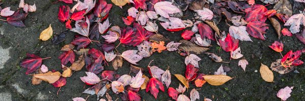 SprayedOut Profile Banner