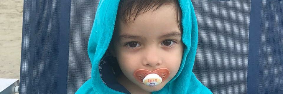 Pedro banner