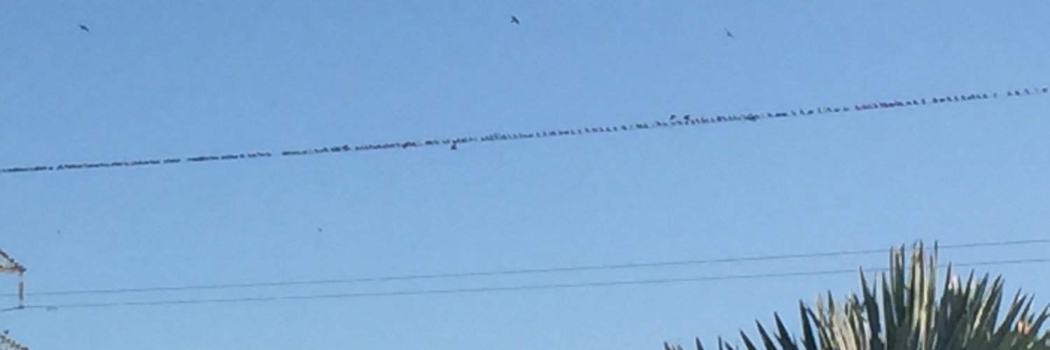 Helen Reynolds banner