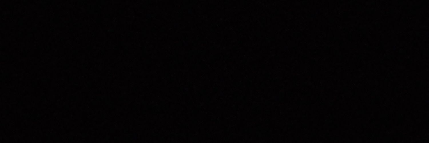xesbirx's profile banner image