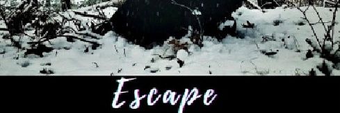 tashabeckmusic's profile banner image