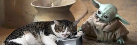 A Boo 👻 Too Far; MS🐓 banner