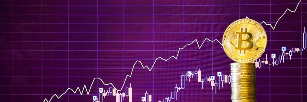 ManoloCrypto7's profile banner image