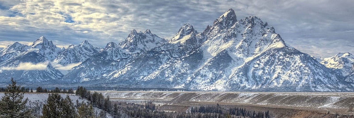 🌹 Jackson Hole Rose® banner