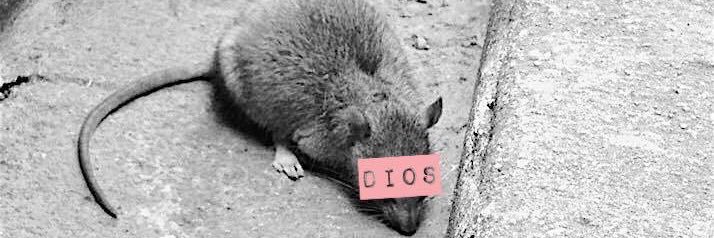 DiosDurcal's profile banner image