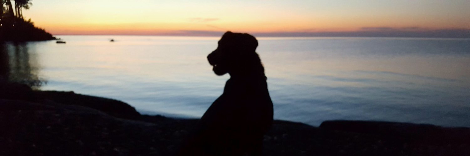 _LS360's profile banner image