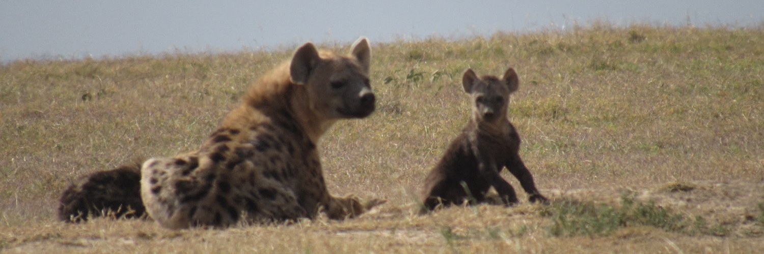 Austin Scheetz banner