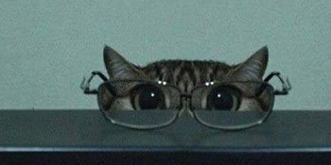 MIsabel_14's profile banner image