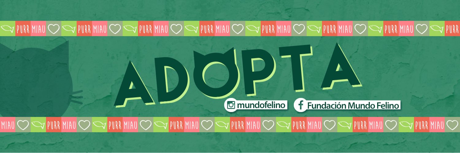 Mundo_Felino's profile banner image