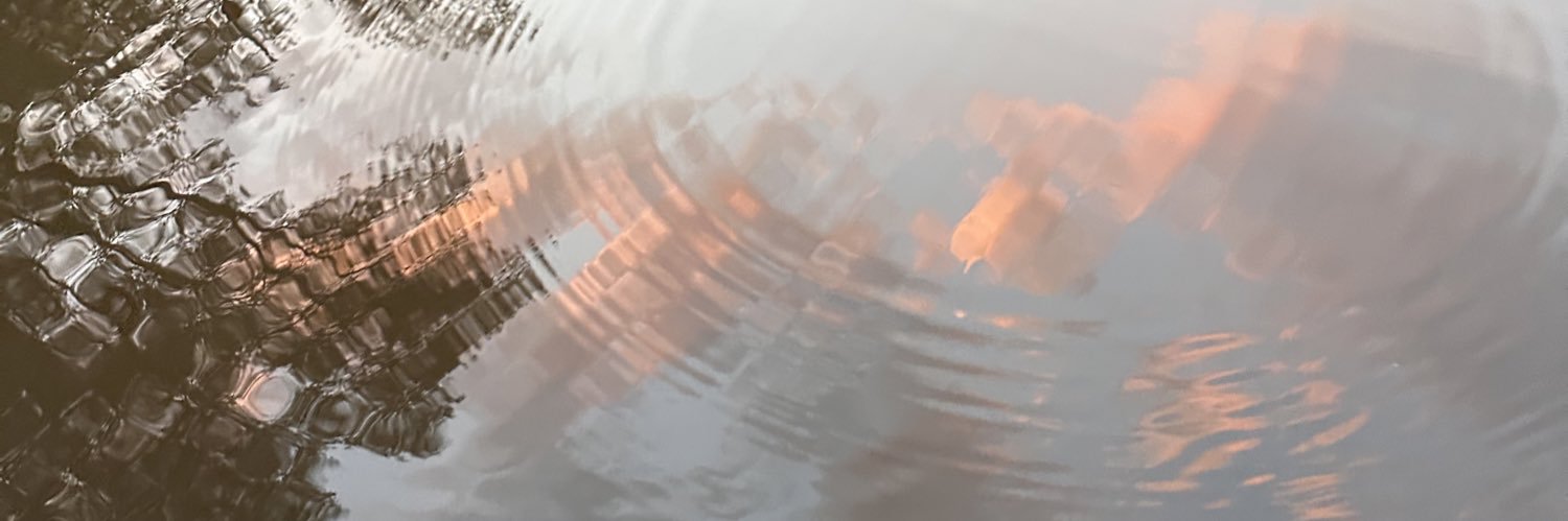 yeacaroline's profile banner image