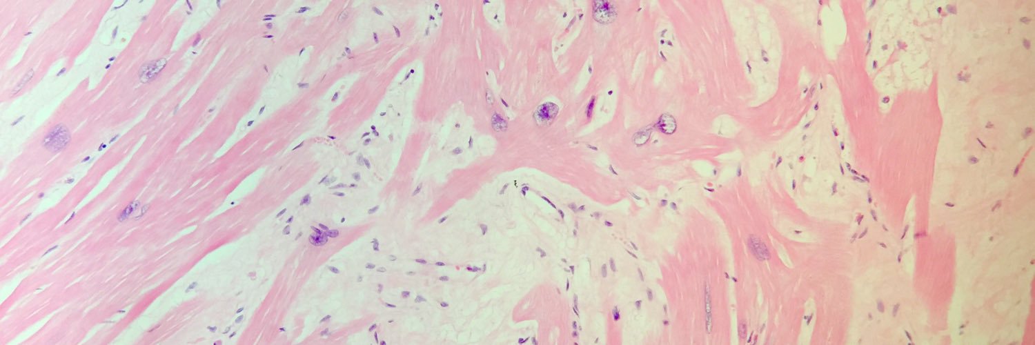 Cardiac Path Network banner