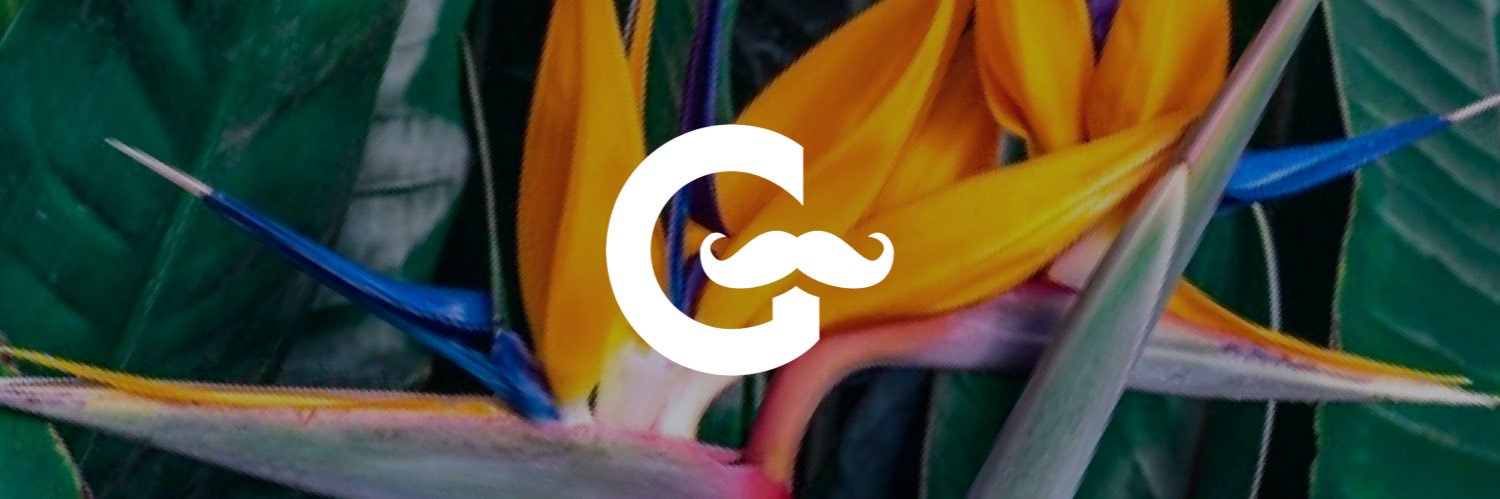 Gabriel Roldan banner