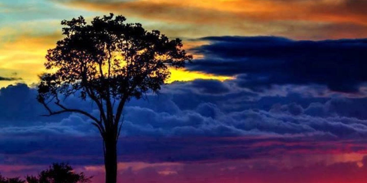mcyosmer's profile banner image
