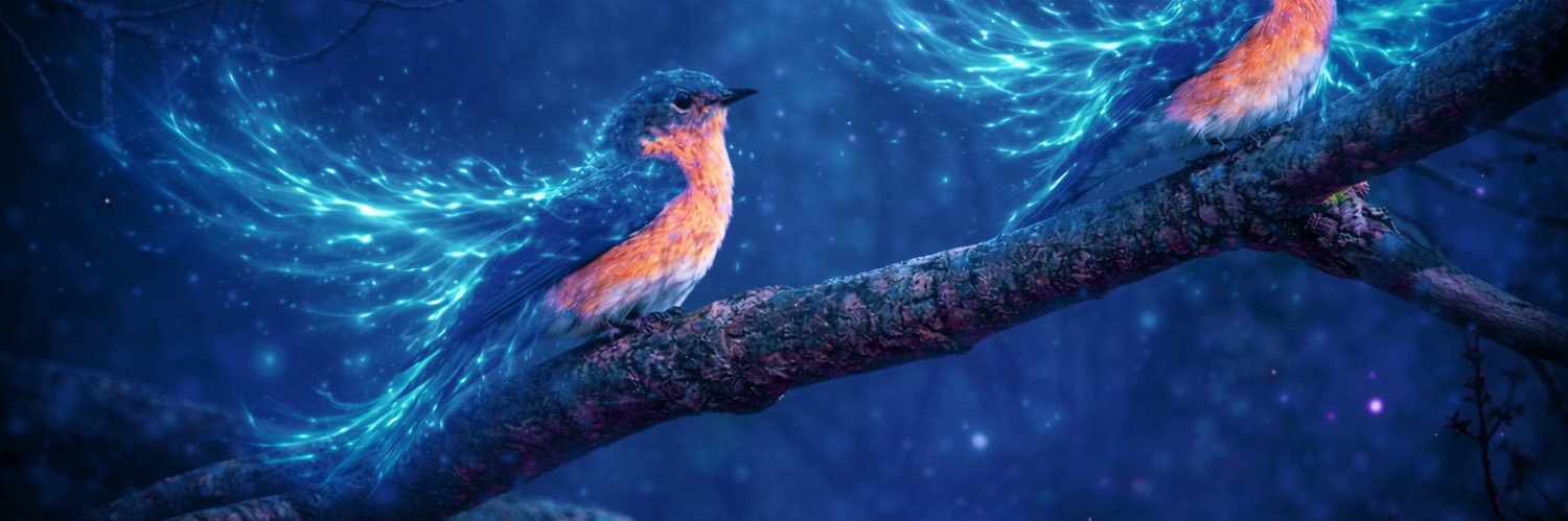 ☾ ✩⁺Sammy Rose Photography✩⁺ ☽ banner