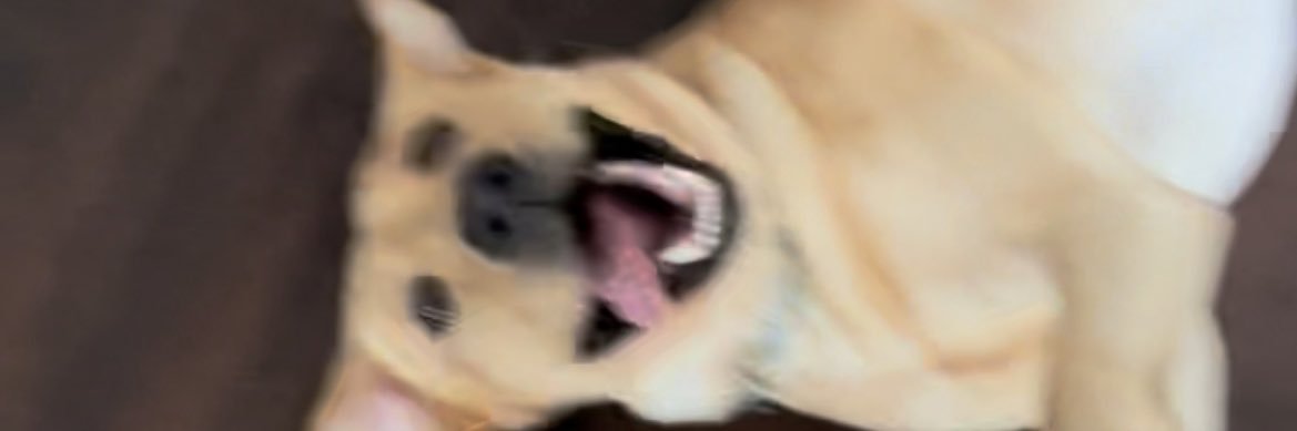 hatherinecam's profile banner image