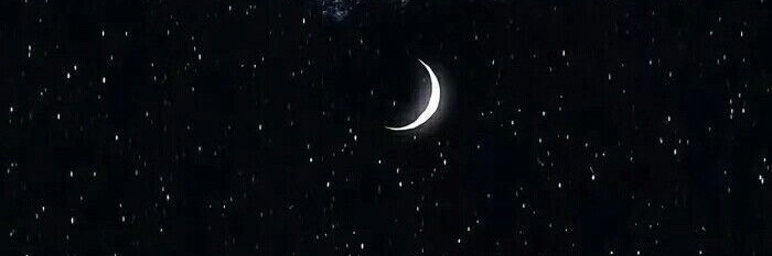 sarabungaa's profile banner image