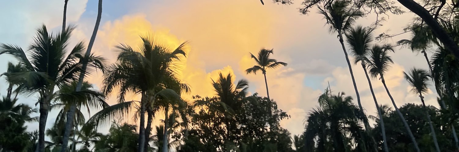 jayovoxo's profile banner image