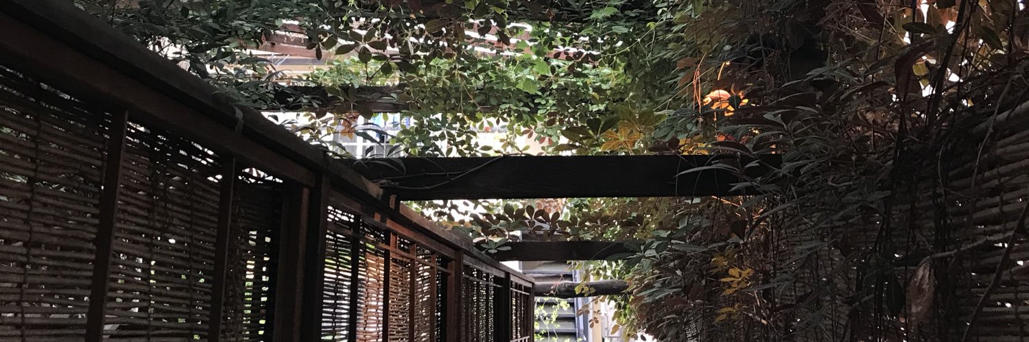 canoneve's profile banner image