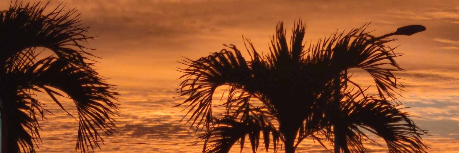 Novabrago's profile banner image