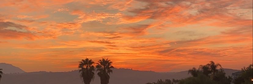 Mitchyboy20's profile banner image