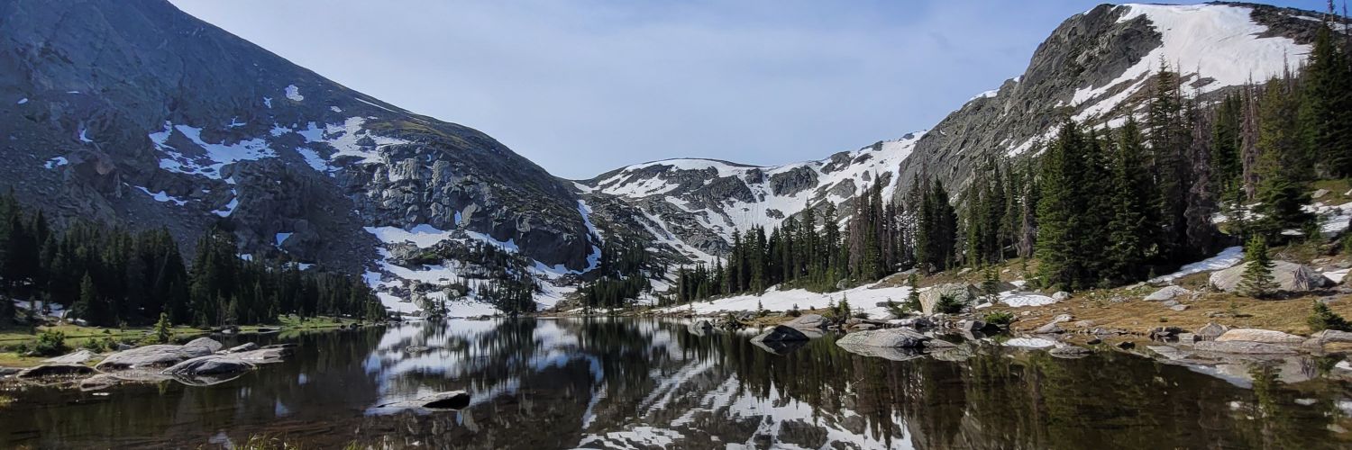 Nicki Fischer banner