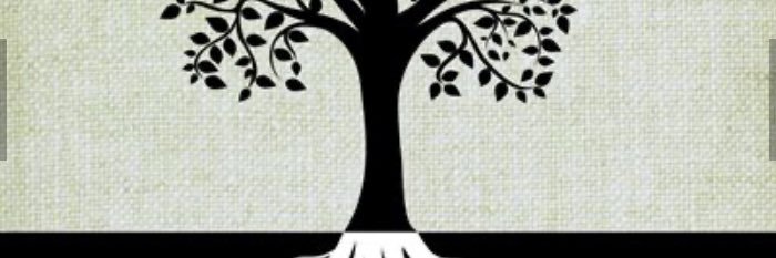 fainer_fran's profile banner image