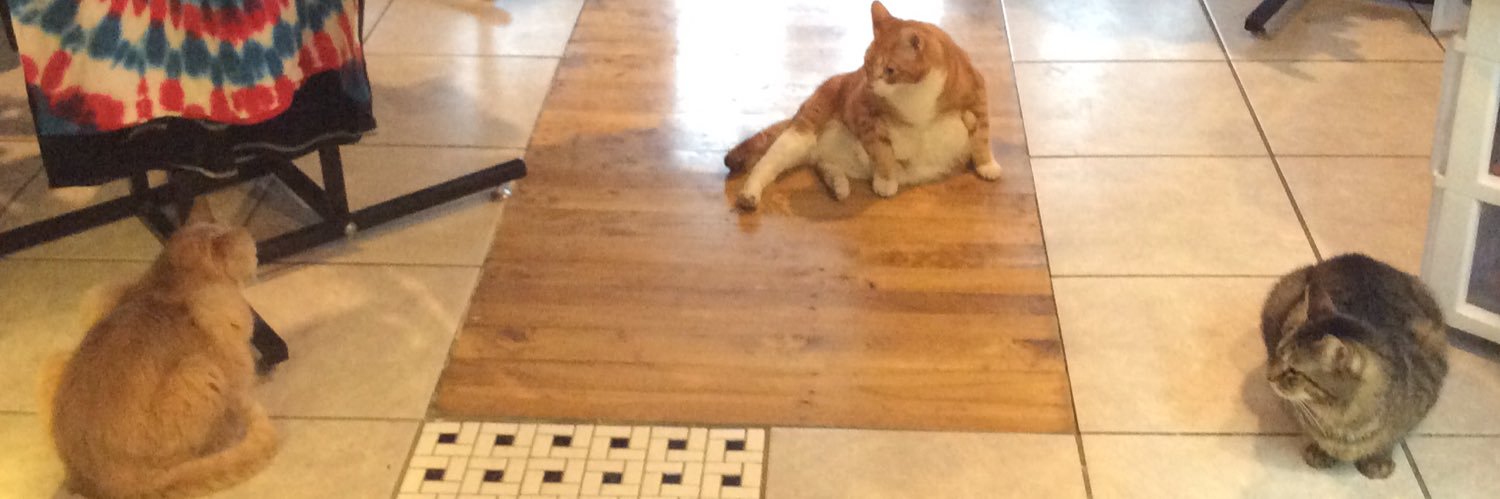 HeadShopCats's profile banner image