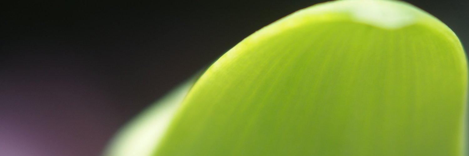 plife2010's profile banner image