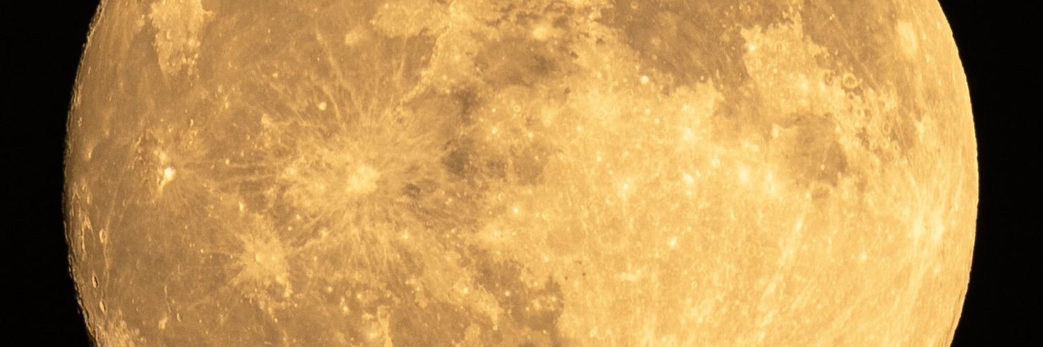shandayo8672's profile banner image
