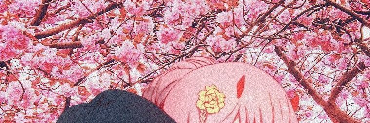 KLechelleL's profile banner image