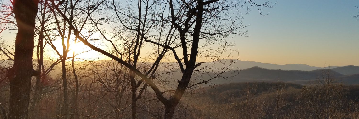 QueenHamp1's profile banner image