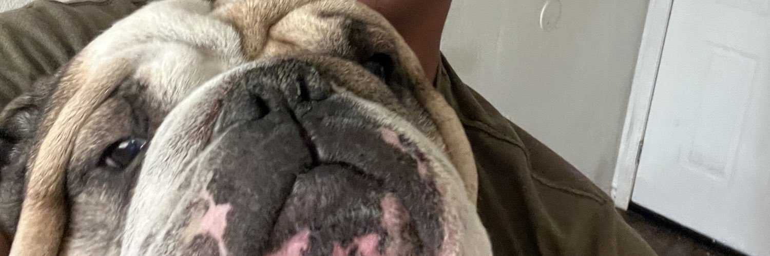 AhhitsDavid's profile banner image