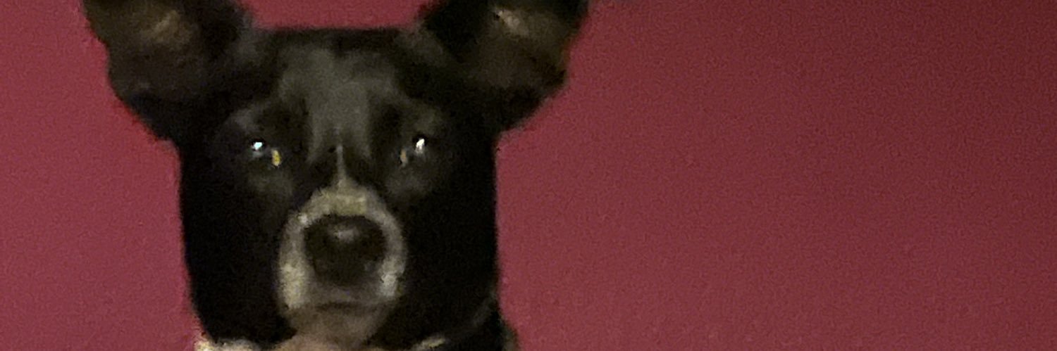BellaaSera's profile banner image