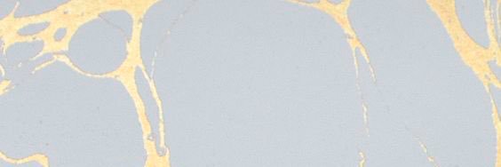 gywn_fern's profile banner image
