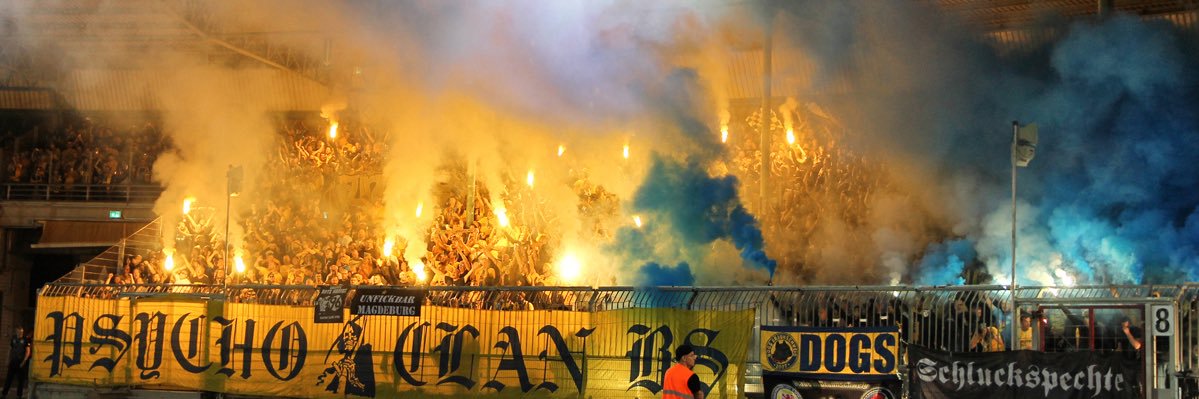 TiMBO banner