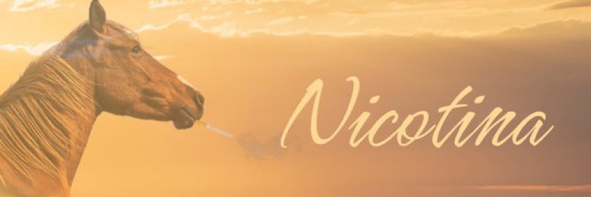 avch__'s profile banner image