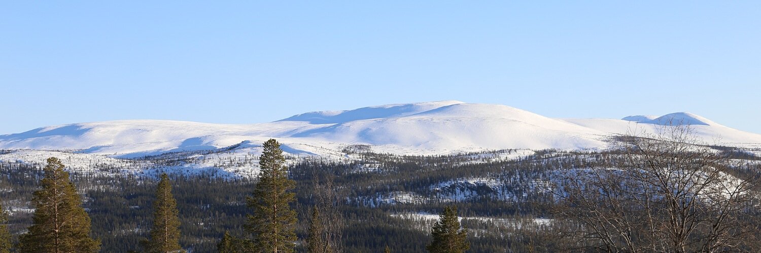 henke's profile banner image