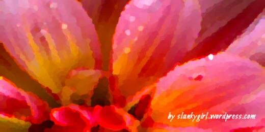 SlankyGirl's profile banner image