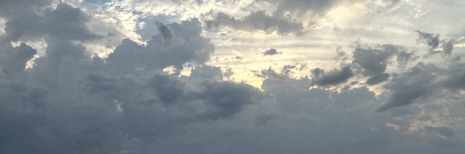 dianalgodoyn's profile banner image