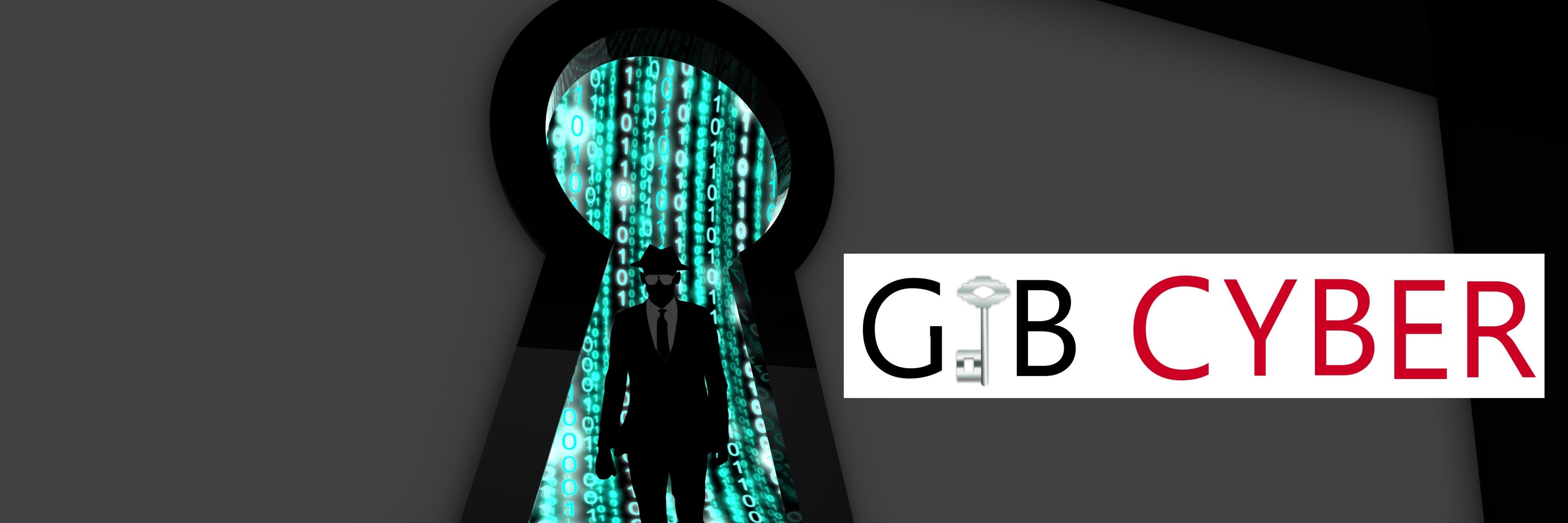 GibCyber banner