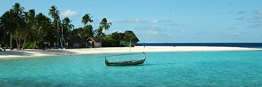 CarpioYj's profile banner image