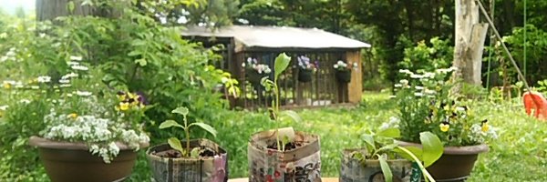 a_coharu Profile Banner