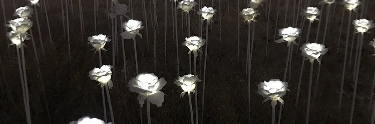 luv_6v6_'s profile banner image