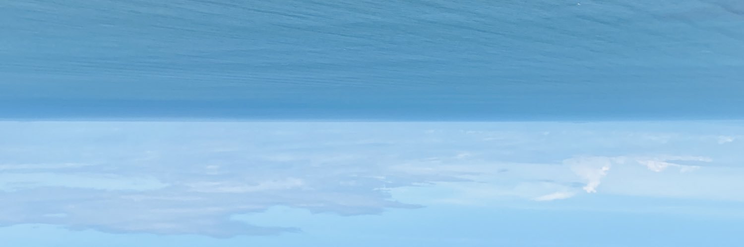launinasoto's profile banner image