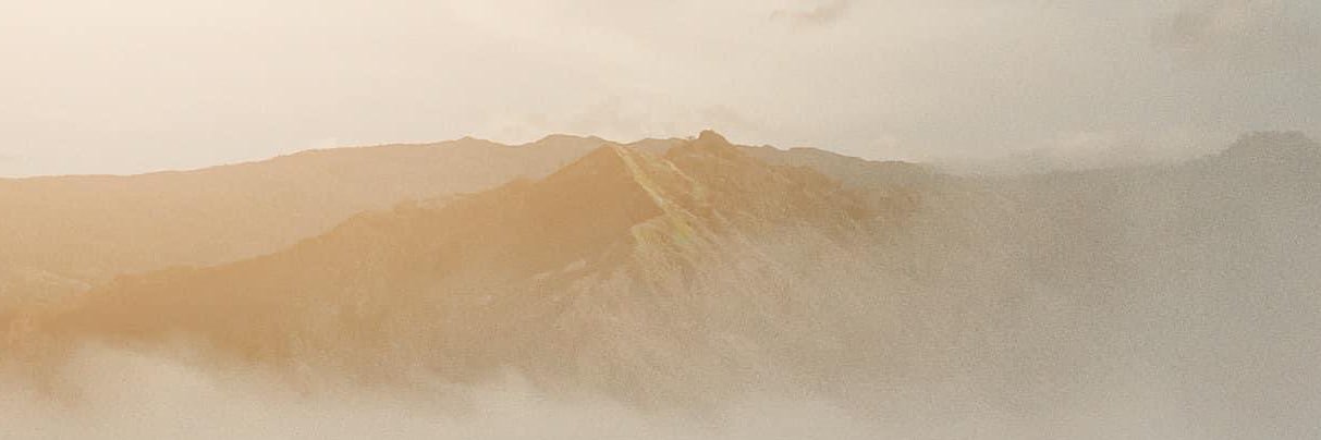 alles_sara's profile banner image