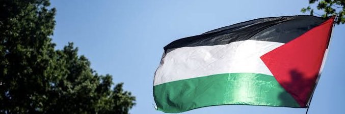 Mahmoud Fayyad | محمود فياض banner