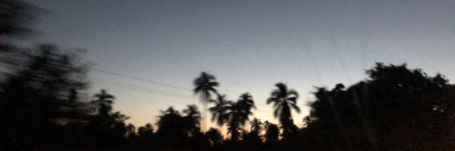 soymarteli's profile banner image