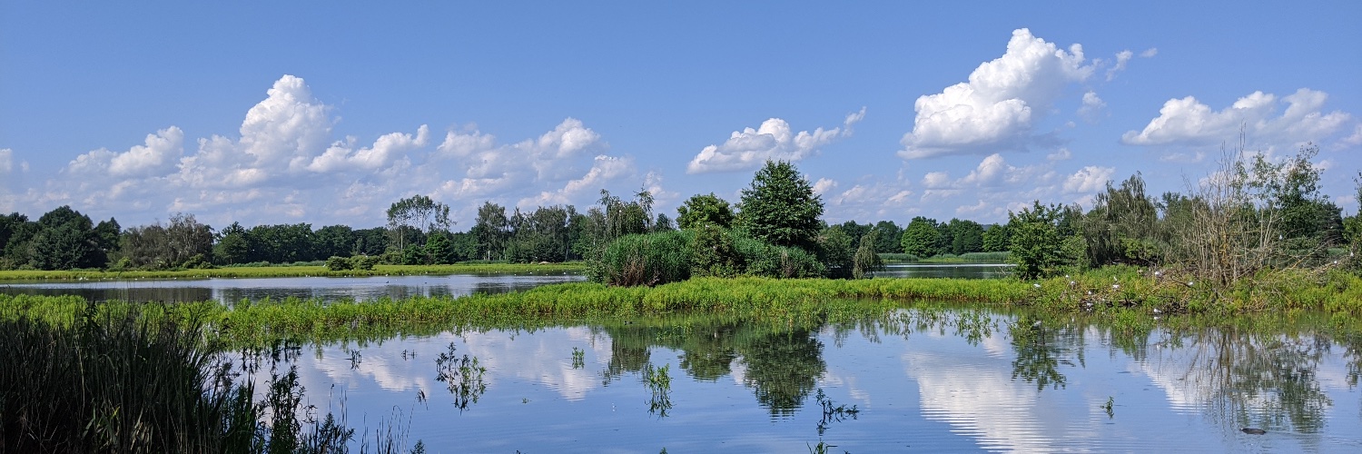 David Diez Méndez banner
