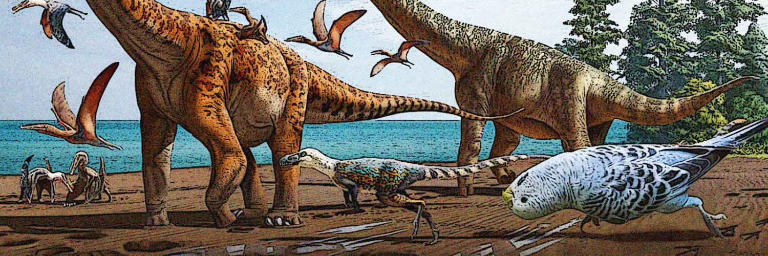 Rafer 💙🤍 banner