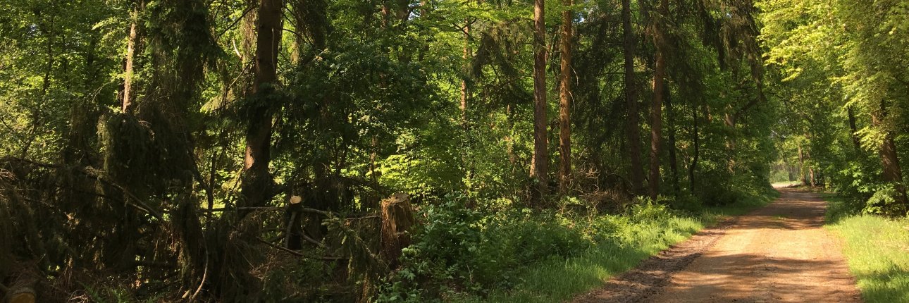 hayco's profile banner image